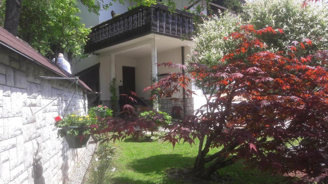 Kirhouse Apartment Bohinjska Bela Kültér fotó